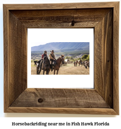 horseback riding near me in Fish Hawk, Florida